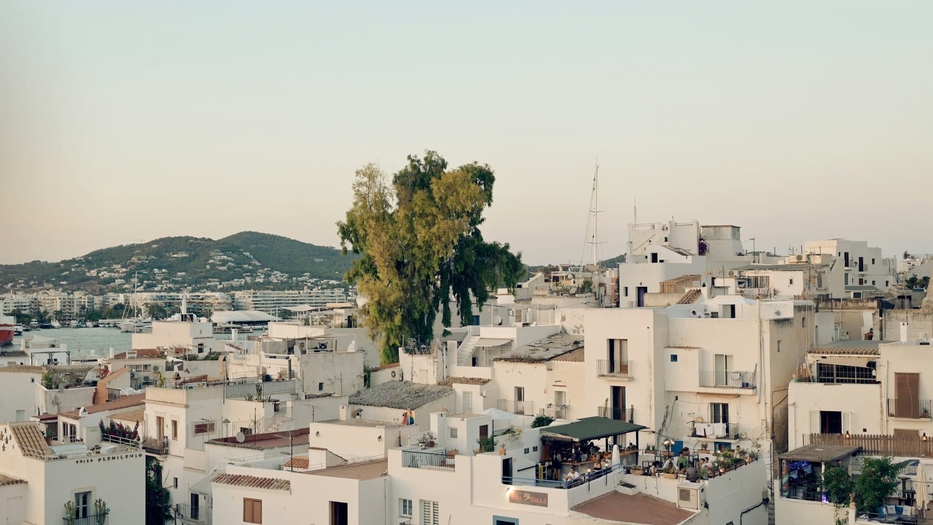 Vista Caleta view 2
